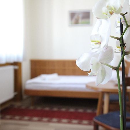 Hotel Corvinus Zalaszentgrot Экстерьер фото