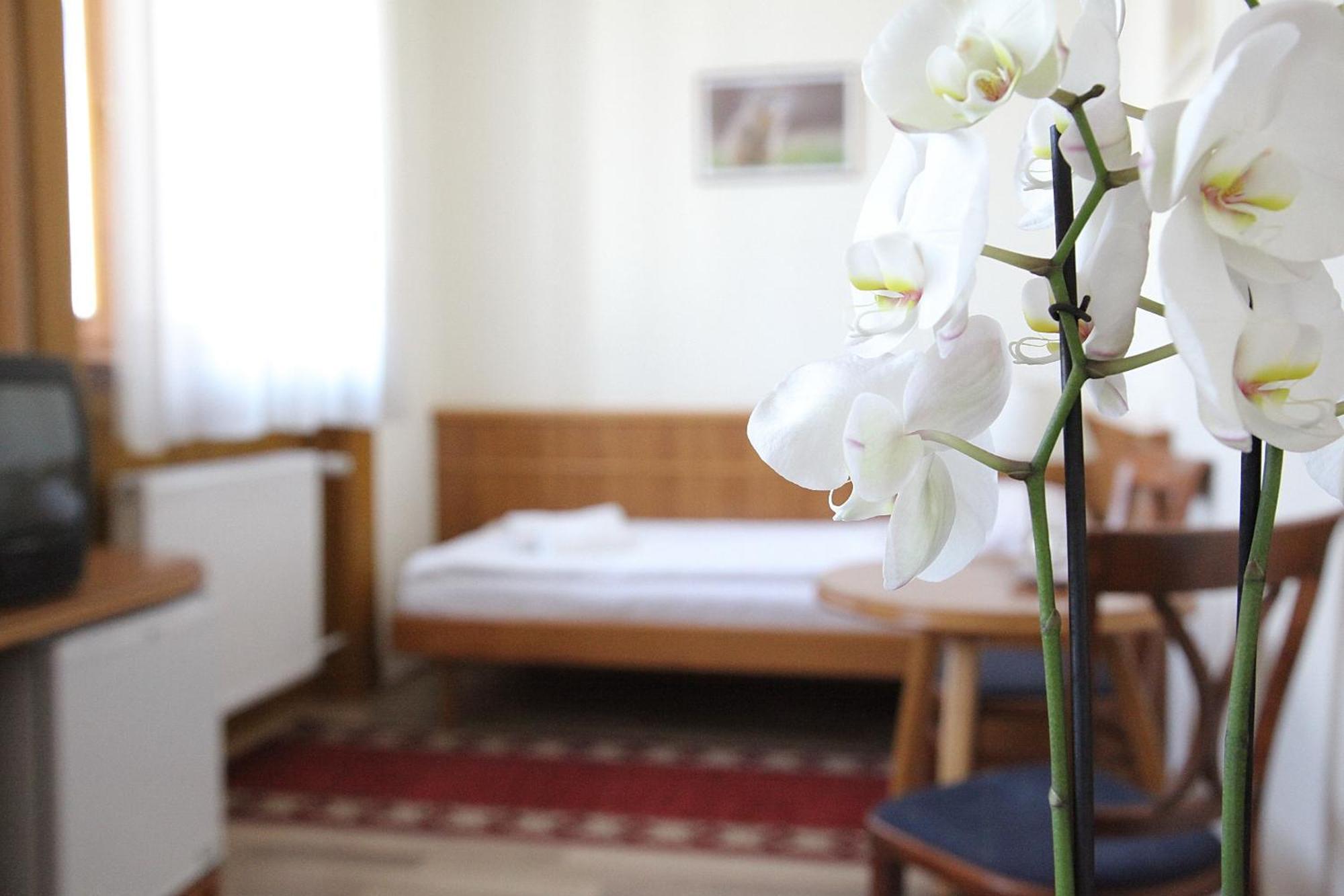 Hotel Corvinus Zalaszentgrot Экстерьер фото